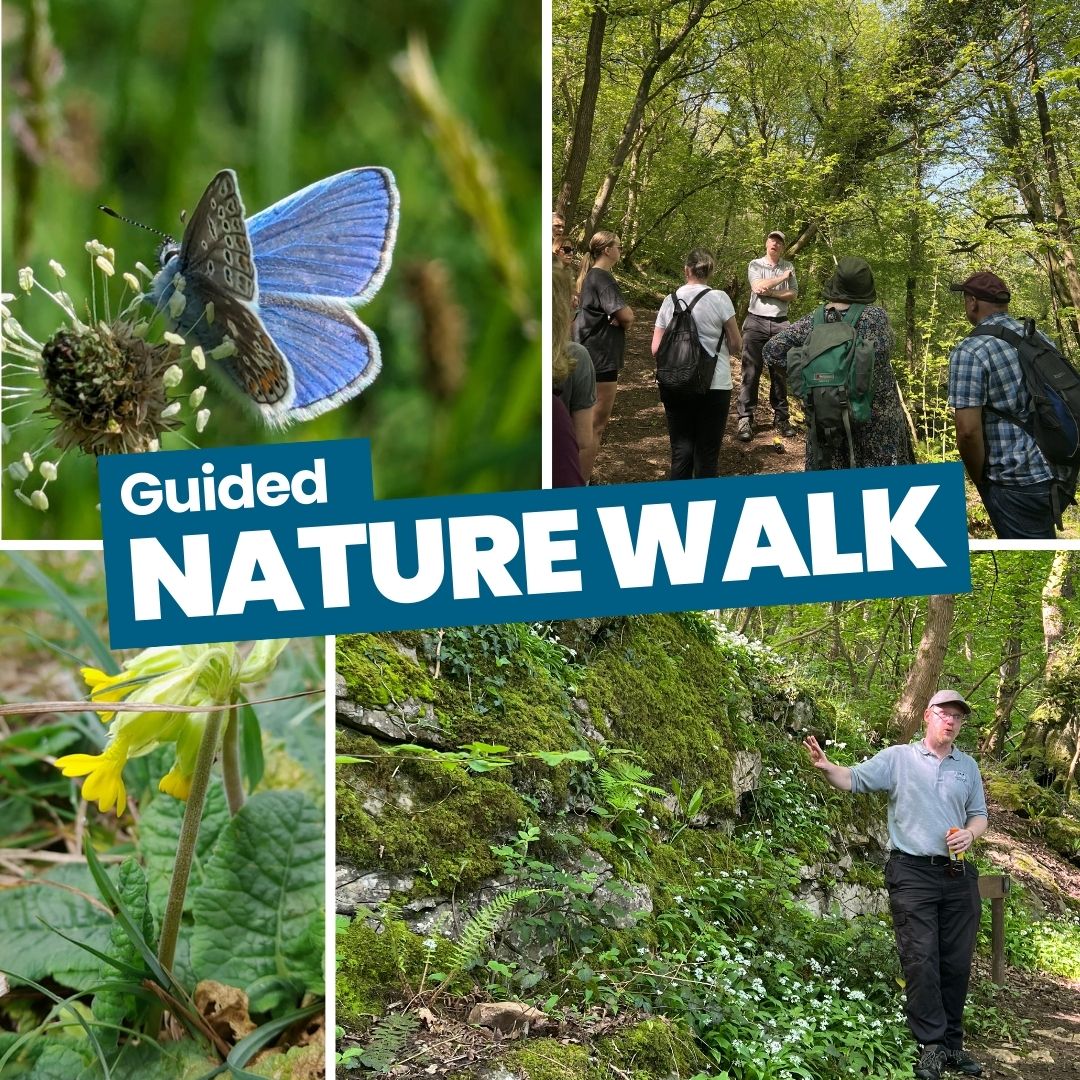 Book Nature Walk